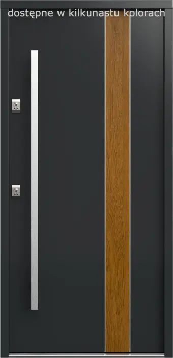 Drzwi Gerda Premium 75 REGEN 5 - plus opcja INSERT BLACK